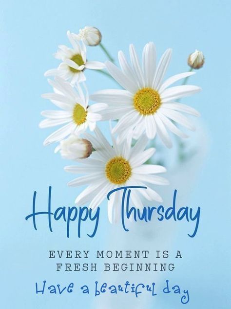 happy thursday images and quotes funny Gm Thursday, Bless Thursday, Happy Thursday Pictures, Thursday Morning Quotes, Enlightening Quotes, Happy Thursday Morning, Happy Thursday Images, Thursday Images, Thursday Greetings