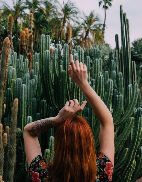 Ginger Woman, Best Editing App, St Patricks Day Pictures, Cactus Pictures, Pretty Fly, Green Beer, Colorful Plants, Picture Captions, Stock Photography Free