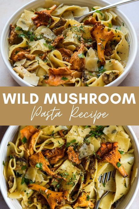 Blue Oyster Mushrooms Pasta Recipes, Chestnut Mushroom Recipes Vegan, Mushroom Mix Recipe, Recipes With Dried Mushrooms, Wild Chanterelle Mushroom Recipes, Chestnut Mushroom Recipes, Chantrell Mushrooms Recipes, Wild Mushroom Pasta, Mushroom Pappardelle