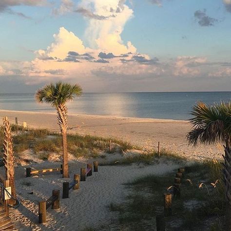 View from Shaggy's in Biloxi, Mississippi with no filter! #MSCoastLife Mississippi Vacation, Biloxi Beach, Gulfport Mississippi, Biloxi Mississippi, Blue Beach Wedding, Ocean Springs, New Orleans Travel, Nice Pictures, Big Easy