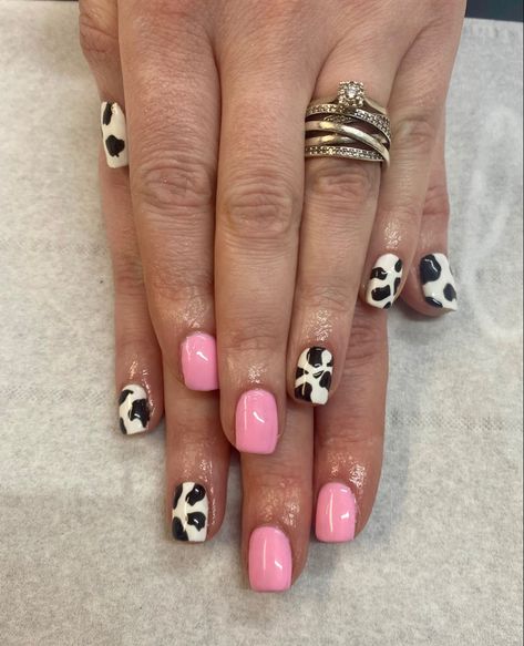 Gel nails using bubblegum pink and cow print Pink Cow Nails, Pink And Cow Print, Cow Print Nails, Cow Nails, Finger Nails, Print Nails, Animal Nails, Black Cow, Pink Cow