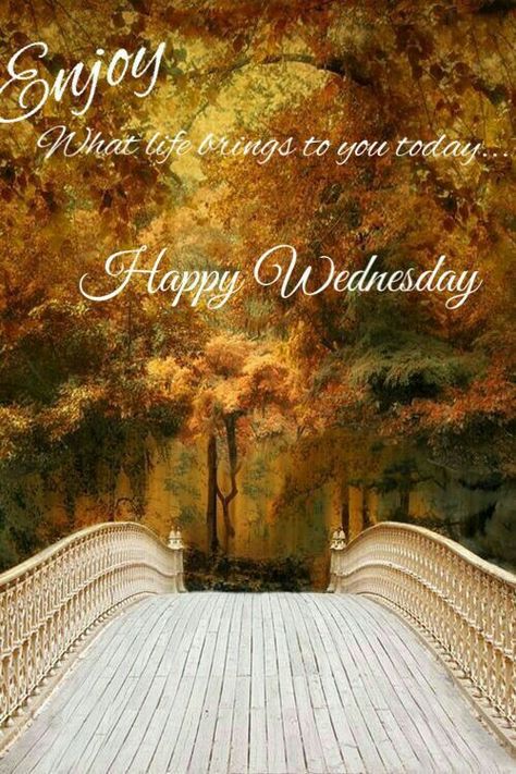 Happy Wednesday Autumn, Wednesday Fall, Happy Wednesday Pictures, Wednesday Morning Greetings, Wednesday Coffee, Wednesday Greetings, Scenery Beautiful, Inspirational Good Morning Messages, Blessed Wednesday