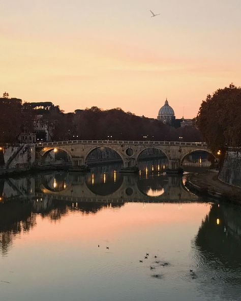 Beautiful sunset over Tiber River in Rome, Italy 🇮🇹 - - #travellingthroughtheworld #sunset #rome #river #italy #photooftheday #travel… Tiber River, River Sunset, Blind Spot, Rome Italy, Beautiful Sunset, Hunger Games, Rome, Italy, Water