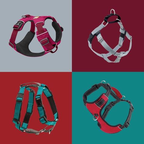 The best no-pull dog harness teaches your pup better leash manners when you combine it with positive reinforcement training. The post The 11 Best No-Pull Dog Harnesses, According to Pet Experts appeared first on Reader's Digest. Iphone Tips And Tricks, Best Dog Harness, Loose Leash Walking, No Pull Dog Harness, Pet Sitting Services, Iphone Tips, Dog Harnesses, Leash Training, Pet Sitting