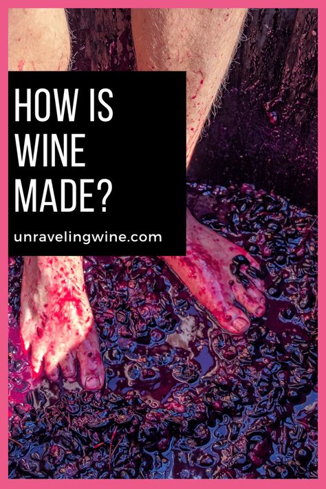 From grape to glass, learn the wine making process in an easy to understand way Wine Basics, Wine Making Process, Wine Press, Fancy Words, Growing Grapes, Red Grapes, Grape Juice, Wine Making, Step By Step Guide