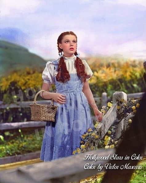 Dorothy Judy Garland, Dorthy Wizard Of Oz Hair And Makeup, Wizard Of Oz Photo Shoot, Dorthy Wizard Of Oz Aesthetic, Ginger Costumes, Ginger Icons, Chiara Core, Dorthy Costume, Wizard Of Oz Dorothy Costume