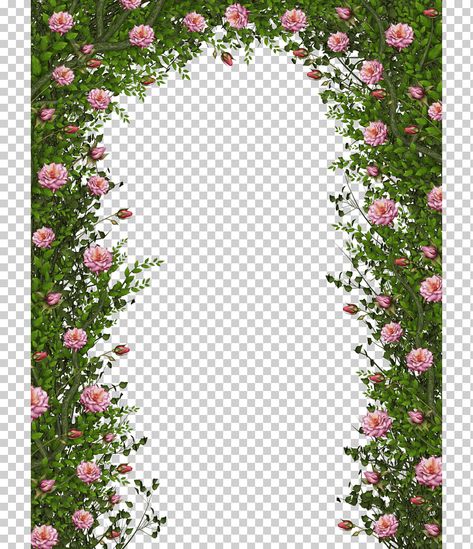 Plant Arch, Grass Png, White Flowering Plants, Rose Flower Arrangements, Rose Png, Rose Vine, White Rose Flower, Green Vines, Pink Rose Bouquet