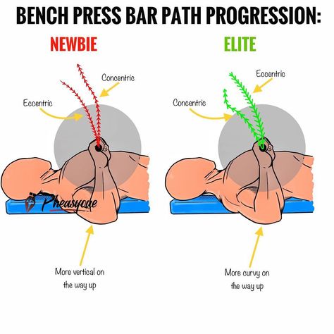 ⭕️ANALISYS OF THE BENCH BAR PAT Chest Workout Women, Fat Burning Cardio, Fitness Abs, Success Life, Workout Muscle, Ripped Abs, Gym Tips, Muscle Building Workouts, Workout Chart