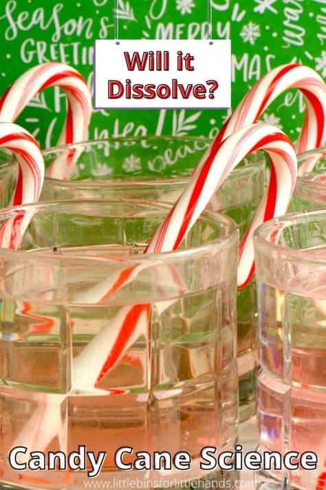 Candy Cane Science Preschool, Baking Soda Science, Candy Science Experiments, Candy Cane Experiment, Candy Cane Science, Christmas Science Activities, Christmas Stem Activities, Candy Experiments, Science Fair Projects Boards