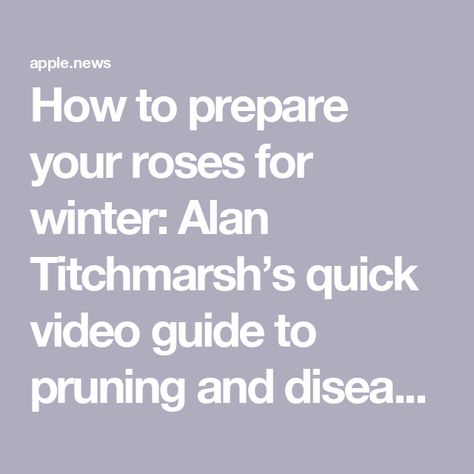 How to prepare your roses for winter: Alan Titchmarsh’s quick video guide to pruning and disease control — BBC Gardeners’ World Magazine Alan Titchmarsh, Gardeners World, Disease Control, Planting, Bbc, Disease, Roses, Magazine