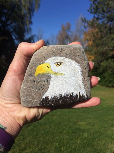 Eagle painted rock Eagles Painted On Rocks, Eagle Painted Rocks, Tiger Painted Rock, Eagle Rock Painting, Eagle Painting Acrylic Easy, Eagle Painting, Diy Rock Art, Tiger Painting, Stone Art Painting