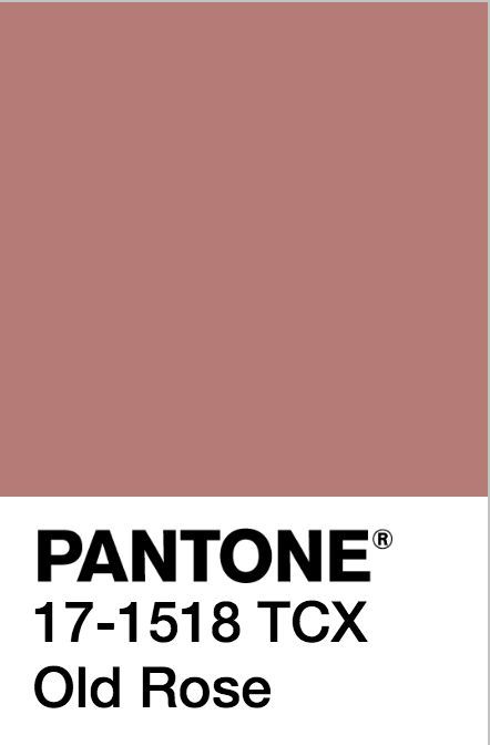 Old Rose PANTONE 17-1518 TCX Old Rose Color Palette, Old Rose Color, Pantone Tcx, Rose Pink Dress, Sunset Rose, House Color Palettes, Pink Palette, Color Palette Pink, Pink Paint