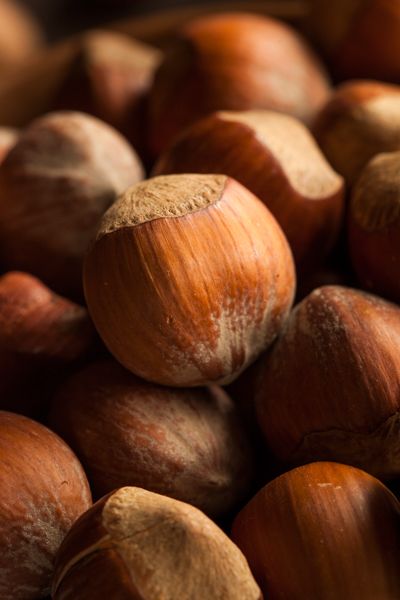 Brent Hofacker Photography Hazelnut Aesthetic, Veggie Christmas, Autumn Journal, Fall Collage, Heal Your Mind, Healthy Nuts, Nuts & Seeds, Nature's Bounty, Color Pictures