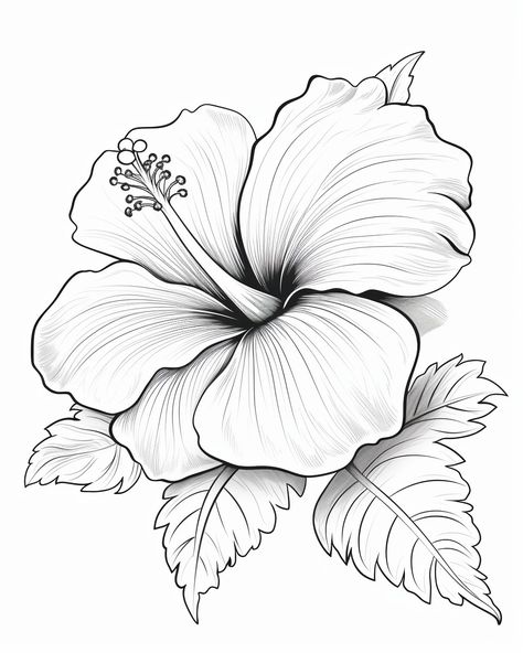 Print Coloring Pages Flower Art Drawing Beautiful, Flower Print Making, 2d Flowers, Hibiscus Flower Coloring Pages, Hawian Flowers Drawings, Flower Coloring Pages For Adults Free Printable, Coloring Pages Of Flowers, Hibiscus Flower Outline, Hibiscus Tattoo Stencil