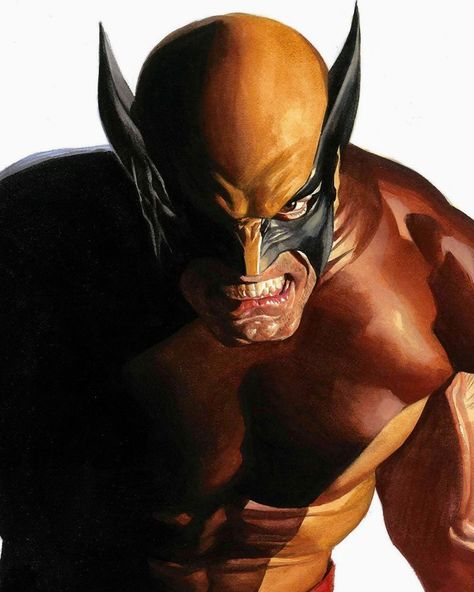 Ghost Rider Images, Wolverine Artwork, Marvel Books, Wolverine Art, Wolverine Hugh Jackman, Marvel Characters Art, Logan Wolverine, Alex Ross, Uncanny X-men