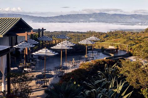 This-Resort-In-The-Costa-Rican-Cloud-Jungle-Should-Be-On-Every-Coffee-Lovers-Bucket-List-FT-BLOG0722 Costa Rican Coffee, Cloud Forest, Coffee Plant, Conde Nast Traveler, Conde Nast, Beach Bars, Resort Collection, Island Beach, Choice Awards