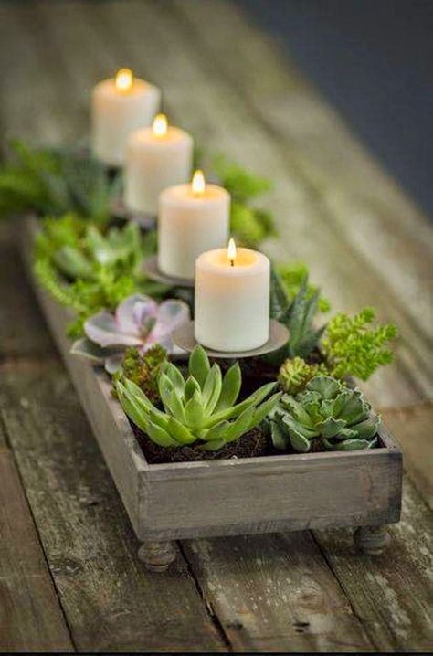 Succulents ~ CP with candle holders and succulents contained in an old wooden box. Candle Decorations, Candle Centerpiece, نباتات منزلية, Deco Nature, Water Gardens, Simply White, Nordic Christmas, Room With Plants, Meditation Space