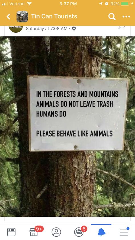 Wellness Quotes, Like Animals, Nature Quotes, Funny Signs, A Sign, Animal Memes, New Memes, The Forest, Wise Words