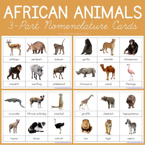 African Animals Montessori Printables – FREE 3 Part Cards - 1+1+1=1 Free Montessori Printables, Montessori Printables Free, Brown Bear Printables, Pond Life Theme, Pond Animals, Print Awareness, Montessori Printables, Africa Animals, Pets 3