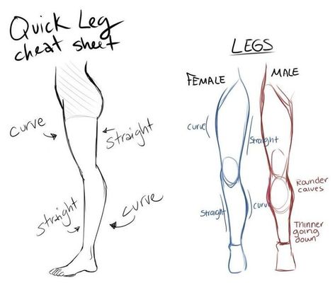 Anatomy Reference Legs Sketch, Body Porpotion Reference Drawing, Male Legs Reference, Legs Sketch, Body Female, Drawing Legs, Drawing Female, Drawing Female Body, Wolf Tattoo Design