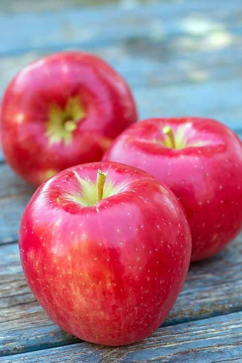 Honeycrisp Apple, Apple Sangria, Apple Picture, Apple Benefits, Apple Stock, Fruits Photos, Apple Varieties, Fruit Picture, Fruit Photography