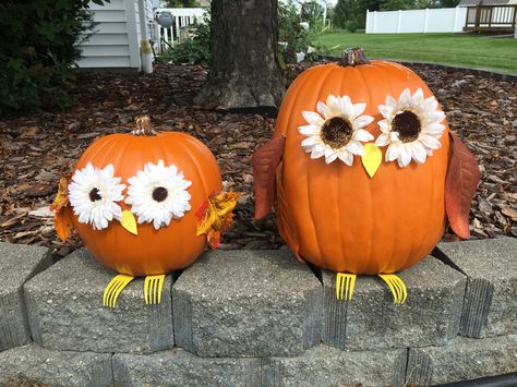 Owl pumpkins with flower eyes and forks for feet Owl Pumpkin Carving, Decorating Pumpkins, Pumkin Decoration, Flower Eyes, Creative Pumpkin Decorating, Owl Pumpkin, Pumpkin Decorating Ideas, Pumpkin Decorating Contest, No Carve Pumpkin Decorating