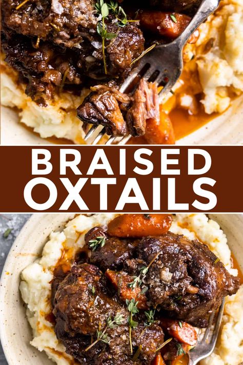 Braised Oxtails Oxtail Osso Bucco, Beef Stew With Ox Tail, Braised Oxtails Recipes, Cajun Oxtail Recipes, Beef Oxtail Recipes Easy, Dutch Oven Oxtail Recipes, Ox Tail Soup Recipe Slow Cooker Oxtail Stew, Oxtail Dutch Oven, Braised Oxtail Recipes Instant Pot