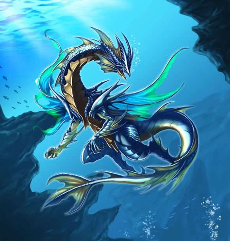 Dragon Dragon Tutorial, Elemental Dragons, Chinese Dragons, Japanese Water, Dragon's Lair, Dragon Images, Fairy Dragon, Water Dragon, Sea Dragon