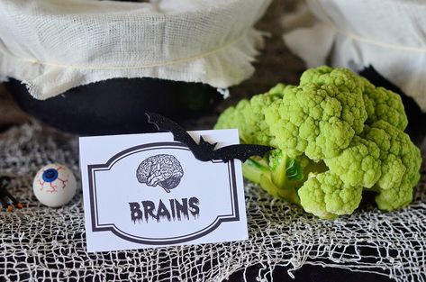 Project Nursery - Brains! Boiled green cauliflower www.entertainingwithemily.com Halloween Touch And Feel, Green Cauliflower, Halloween Experiments, Halloween Science Activities, Mad Scientist Halloween, Trunker Treat Ideas, Halloween Lunch Box, Class Mom, Creepy Food