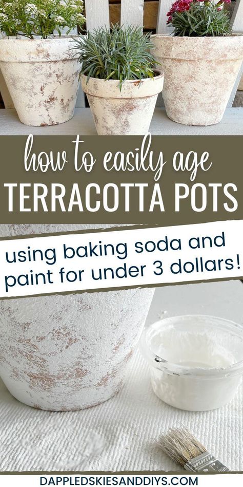 Aged Terra Cotta Pots, Age Terra Cotta Pots, Aging Terra Cotta Pots, Age Naturally, Terra Cotta Pots, Plant Room, Terra Cotta Pot Crafts, Painted Pots Diy, Painted Clay Pots