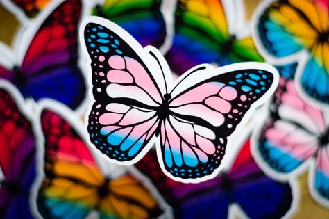 Trans Butterfly Water Resistant Sticker Monarch Butterfly | Etsy Trans Butterfly, Borax Crystals Diy, Borax Crystals, Lgbtq Ally, Dreamy Flowers, Pride Tattoo, Circle Images, Trans Pride Flag, Trans Flag