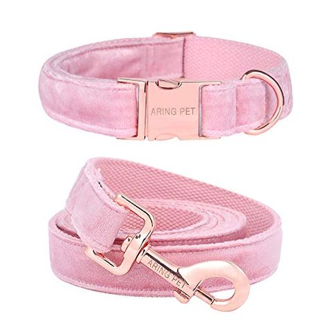 Dog Leash And Collar, Spring Lipstick, Leash And Collar, Velvet Dog Collar, Dog Collar And Leash, Engraved Dog Collar, Luxury Dog Collars, Dog Collar Bows, Pink Puppy