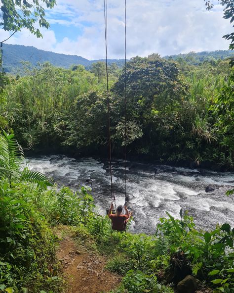 Mindo was one of our favorite places to visit on mainland Ecuador 🇪🇨 If you are planning a trip to Ecuador at some point, you’ve got to put Mindo on your list. Here, you can go birdwatching, hunt for waterfalls 🚿, hang out with butterflies 🦋 and hummingbirds, taste some of the best chocolate 🍫 in the world, listen to frog 🐸 symphonies, and so much more! Mindo is a cloud forest located at around 1,300 meters, making it one do the most biodiverse places in the world!!! 🌸🦜 To check out our ... Butterflies And Hummingbirds, Cloud Forest, Places In The World, Planning A Trip, Birdwatching, Best Chocolate, Hummingbirds, Bird Watching, Ecuador