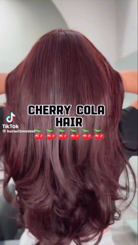 New Trending Hair Colors, Inner Hair Highlights, Cherry Black Red Hair, Red Hair With Red Outfit, Plum Hair Olive Skin, Red Hair Hair Styles, Black Cherry Brown Hair, Cherry Brown With Highlights, Cherry Red Hair Layers