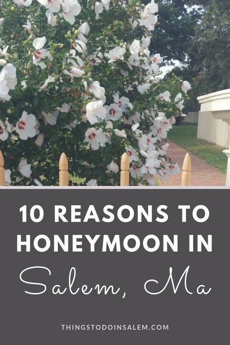 10 reasons why you should have your honey moon in Salem Massachusetts. Honeymoon destinations in New England. #salem #salemmassachusetts #salemma #massachusetts #honeymoon #destinationwedding #destinations #newengland Salem Massachusetts Wedding, Marriage Registry, Things To Do In Salem, Popular Honeymoon Destinations, Honeymoon On A Budget, Honeymoon Fund, Honey Moon, Salem Massachusetts, Salem Ma