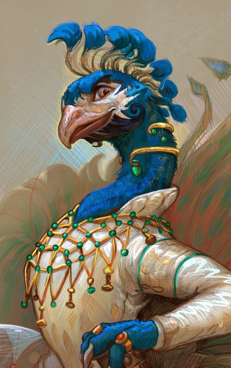 Peacock Person Character Design, Peacock Humanoid, Peacock Fantasy Art, Aarokakra Dnd, Peacock Fursona, Anthro Bird Character Design, Dnd Animal Characters, Anthro Peacock, Peacock Aarakocra