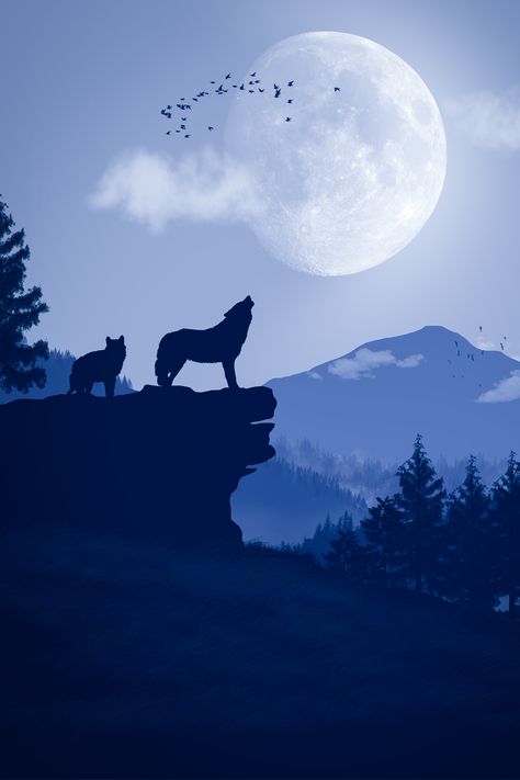 Capture the mystical allure of the wild with this stunning 2D poster. Adorn your space with the mesmerizing silhouette of a howling wolf against a moonlit backdrop. Wolf Howling Drawing, Wolf Landscape, Galaxy Silhouette, Wolf Walking, House Of Wolves, Wolf Howling At The Moon, Majestic Wolf, Wolf Running, Wolf Poster