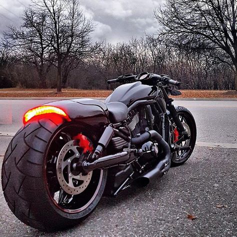 Grey Wolf on Instagram: “Repost @devindiegodesigns location: Ontario, Canada tags: @j.cole83 ・・・ V-Rod Muscle with Custom Muscle air intake tank ⛓ #VRod #Canada…” Viclas Harley Road King, Harley V Rod Custom, Heavy Bike, Vrod Custom, Motocykle Harley Davidson, Harley V Rod, Harley Davidson Night Rod, Tommy Lee Motorcycle, Мотоциклы Harley Davidson