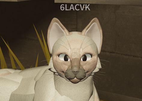 realistic / seal mink / pastel siamese
free morph inspo; 6LACVK on roblox
#cats #warriorcats #warriors #warriorcatsulitmateedition #wcue #roblox #morphmaker #morphideas #inspo #inspiration #6LACVK Wcue Morph Base, Simple Wcue Morphs, Warrior Cats Ideas, Wcue Morph Ideas, Warrior Cats Ultimate Edition, Wcue Morph, Body Pose Drawing, Cat Ideas, I Love Your