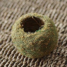 Japanese Moss Balls, Moss Planter, Moss Ball, Moss Plant, Small Flower Pots, Sphagnum Moss, Deco Nature, Succulent Soil, Moss Balls