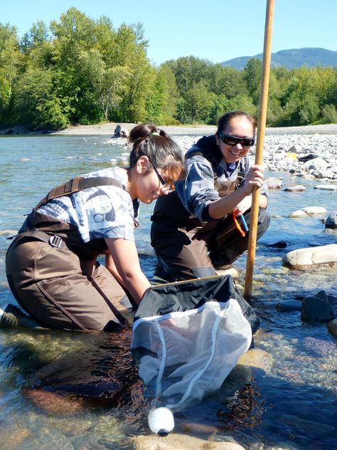 Environmental Science Jobs, Environmental Engineer Aesthetic, Geologist Aesthetic, Environmental Science Major, Wildlife Biology, Environment Science, Career Aesthetic, Conservation Biologist, Conservation Corps