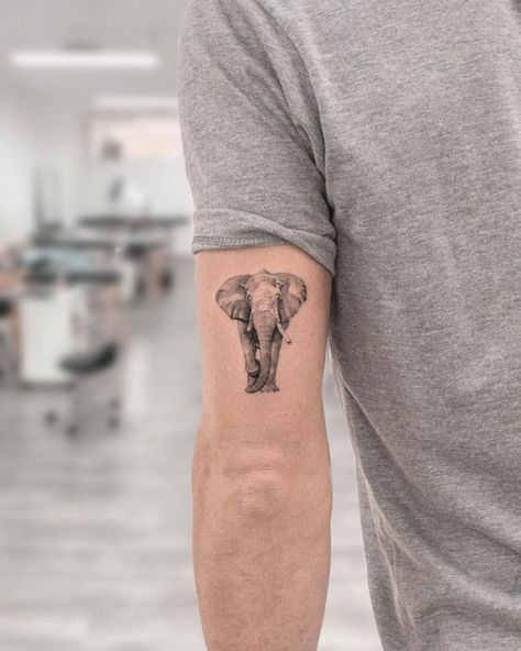 Micro-realistic style elephant tattooed on the tricep. Elephant Art Tattoo, Realistic Elephant Tattoo, Tattoo Chart, Tricep Tattoos, Family Tattoo Ideas, Geometric Line Tattoo, Fire Fighter Tattoos, Bear Tattoo Designs, Elephant Tattoo Design