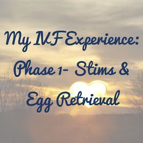 My IVF Experience: Phase 1- Stims & Egg Retrieval // A post for anyone wondering what it's like to go through IVF // In Vitro Fertilization Ivf Egg Retrieval, Ivf Preparation, Thankful For Him, Egg Retrieval, Fertility Cycle, Greatest Journey, Planning To Get Pregnant, Early Stages Of Pregnancy, Stages Of Pregnancy