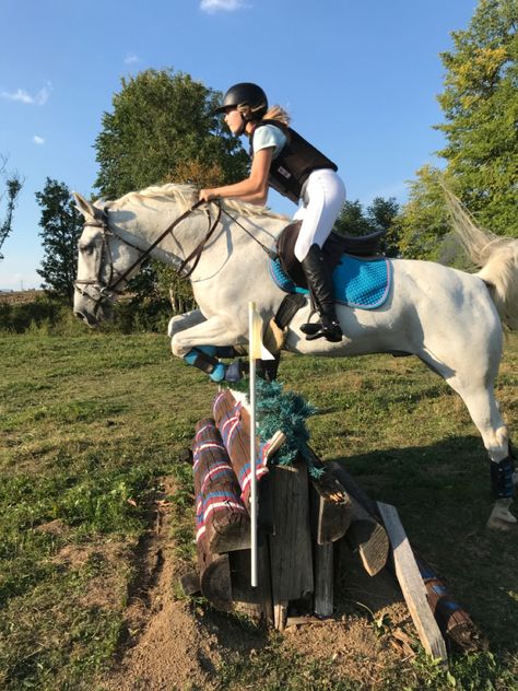 Fleabitten Grey Horse Jumping, Grey Horse Jumping, Fleabitten Horse, Show Jumping Aesthetic, Jumping Aesthetic, Cute Horse Riding Outfits, Horse Eventing, Sarah Stone, Horse Riding Outfits