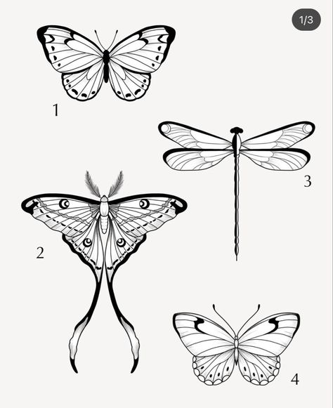 Lunar Moth Tattoo Small, Lunar Moth Tattoo Design Simple, Moth Tattoo Linework, Chinese Moon Moth Tattoo, Dragonfly Outline Tattoo, Moth Outline Tattoo, Moth Tattoo Stencil, Butterfly Moth Tattoo, Gothic Moth Tattoo