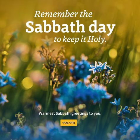 Happy Sabbath, everyone! 🌿 'Remember the Sabbath day, to keep it holy.' (Exodus 20:8) Let’s not forget this special time God has appointed for us to rest in His presence. Wishing you a peaceful and blessed Sabbath! #HappySabbath #SabbathRest Blessed Sabbath, Happy Sabbath Quotes, The Sabbath Day, Exodus 20, Happy Sabbath Images, Sabbath Quotes, Sabbath Rest, Time God, Happy Sabbath