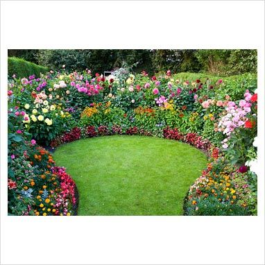 I LOVE the circular effect of this Dahlia Border Circle Flower Garden, Dahlia Flower Bed, Dahlia Border, Circular Flower Bed Ideas, Circle Flower Bed, Circular Lawn, Dahlias Garden, Unique Gardens, Garden Borders