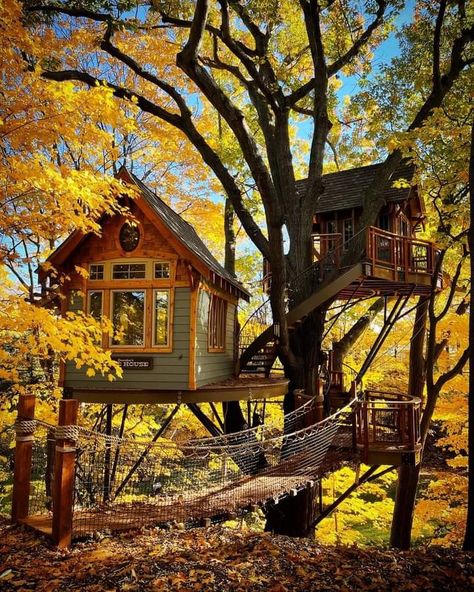 Liveable Tree Houses, Diy Tree House For Adults, Treehouse Between Two Trees, Tree House Designs Inside, Luxury Tree House Interior, Huge Tree House, Treehouse Exterior, Tree House Living, Treehouse Aesthetic