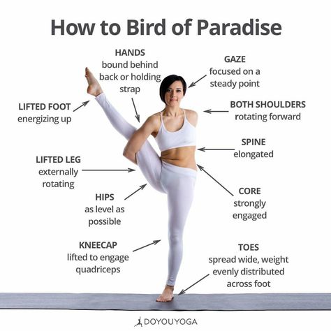 Bird of Paradise Bird Of Paradise Pose Yoga, Bird Of Paradise Yoga, Bird Of Paradise Pose, Yoga 101, Yoga Alignment, Yoga Styles, Yoga Steps, Yoga Vinyasa, Flow Yoga