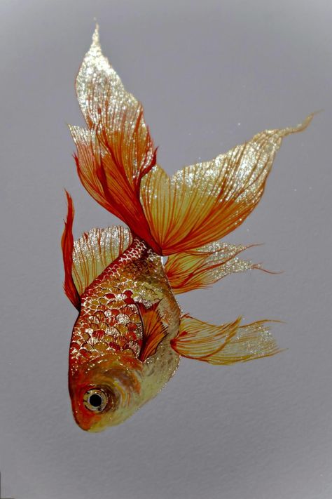 Goldfish Drawing Tutorial, Gold Fish Drawing, Goldfish Painting, Goldfish Drawing, Gold Fish, Metallic Watercolor Painting Ideas, Gold Fish Sketch, Gold Fish Watercolor Painting, Gold Fish Painting Acrylics